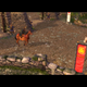 Illustration for article titled SBLT (2!) Age of Empires III Test of Time